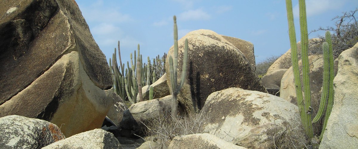 Aruba