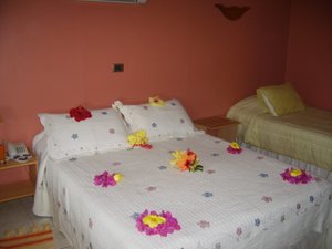 Phòng & Phòng Suite