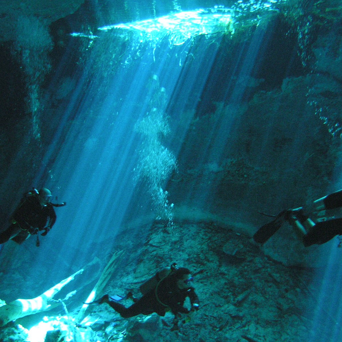 playa del carmen diving reviews