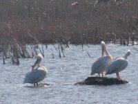 Loess Bluffs National Wildlife Refuge - All You Need to Know BEFORE You ...