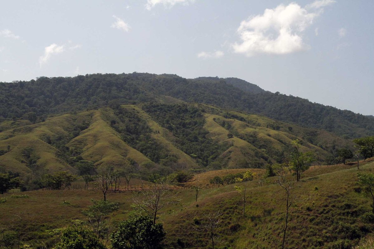 חוות דעת על ‪Cerro Hoya National Park‬ מחוז וראגואס, פנמה Tripadvisor