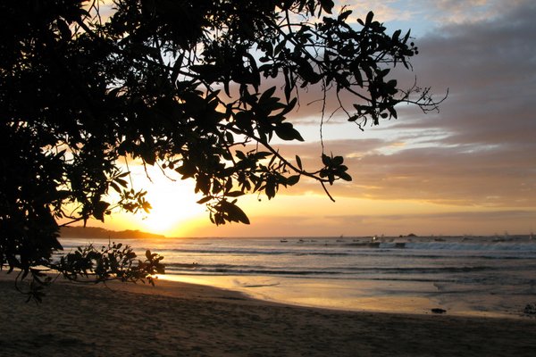 Tamarindo 21 Best Of Tamarindo Costa Rica Tourism Tripadvisor