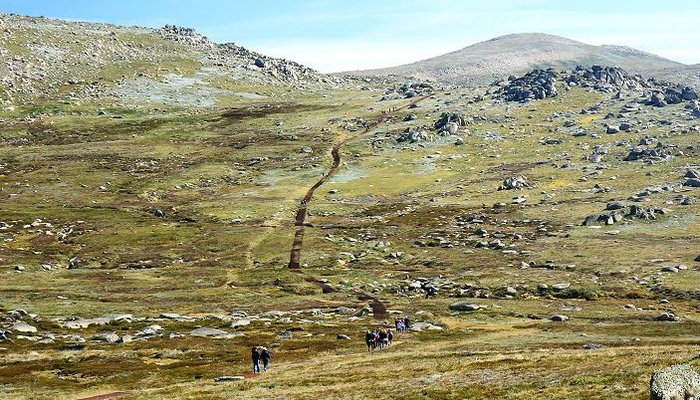 Walk to Mt Kosciuszko summit