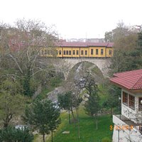 The brigde from a distance