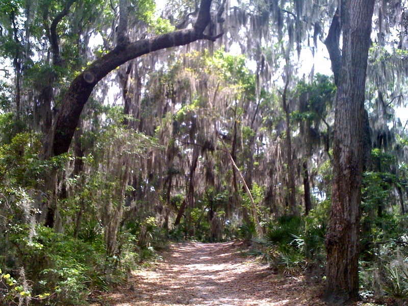 Huguenot Memorial Park, Jacksonville - Tripadvisor