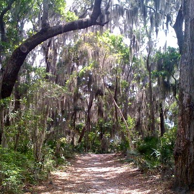 PALMS FISH CAMP RESTAURANT, Jacksonville - Little Marsh Hill - Menu ...