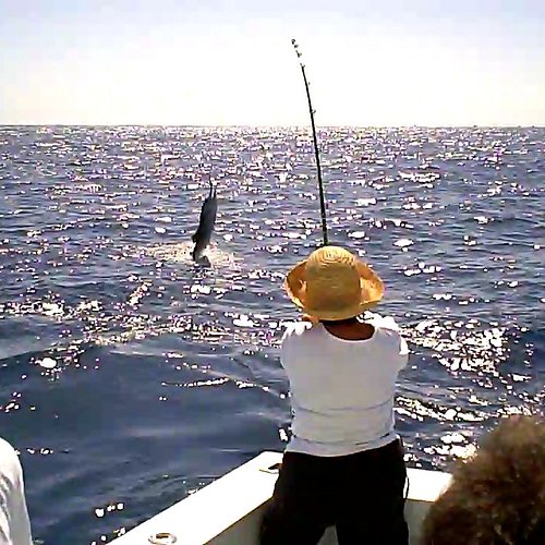 🏨 Private Inshore Fishing Experience in Isla Mujeres Activity - Travel  Guide