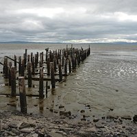 Burke St Wharf Thames NZ