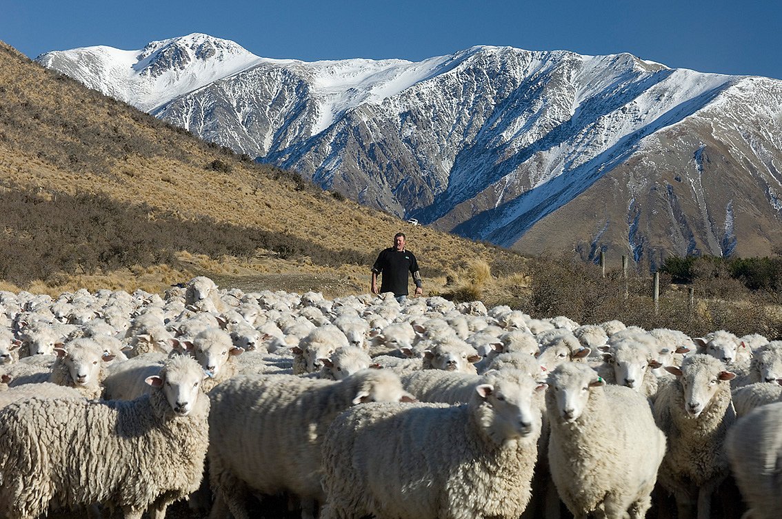 Farm Tour. Dave Clark is a Sheep Farmer in New Zealand.