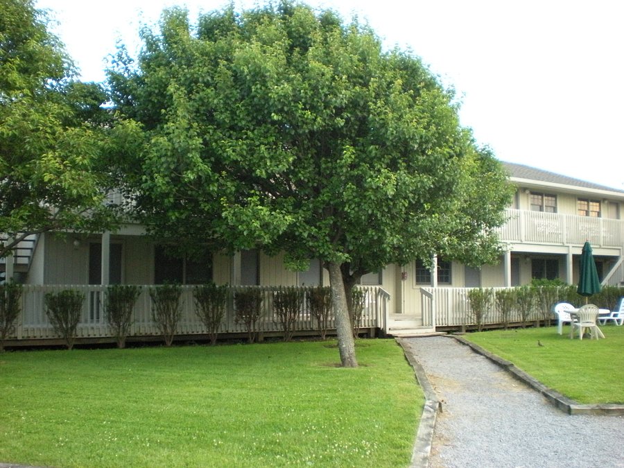 Culloden House Motel 113 1 2 6 Updated 2020 Prices Reviews Montauk Ny Tripadvisor Culloden House Motel 113 1 2 6