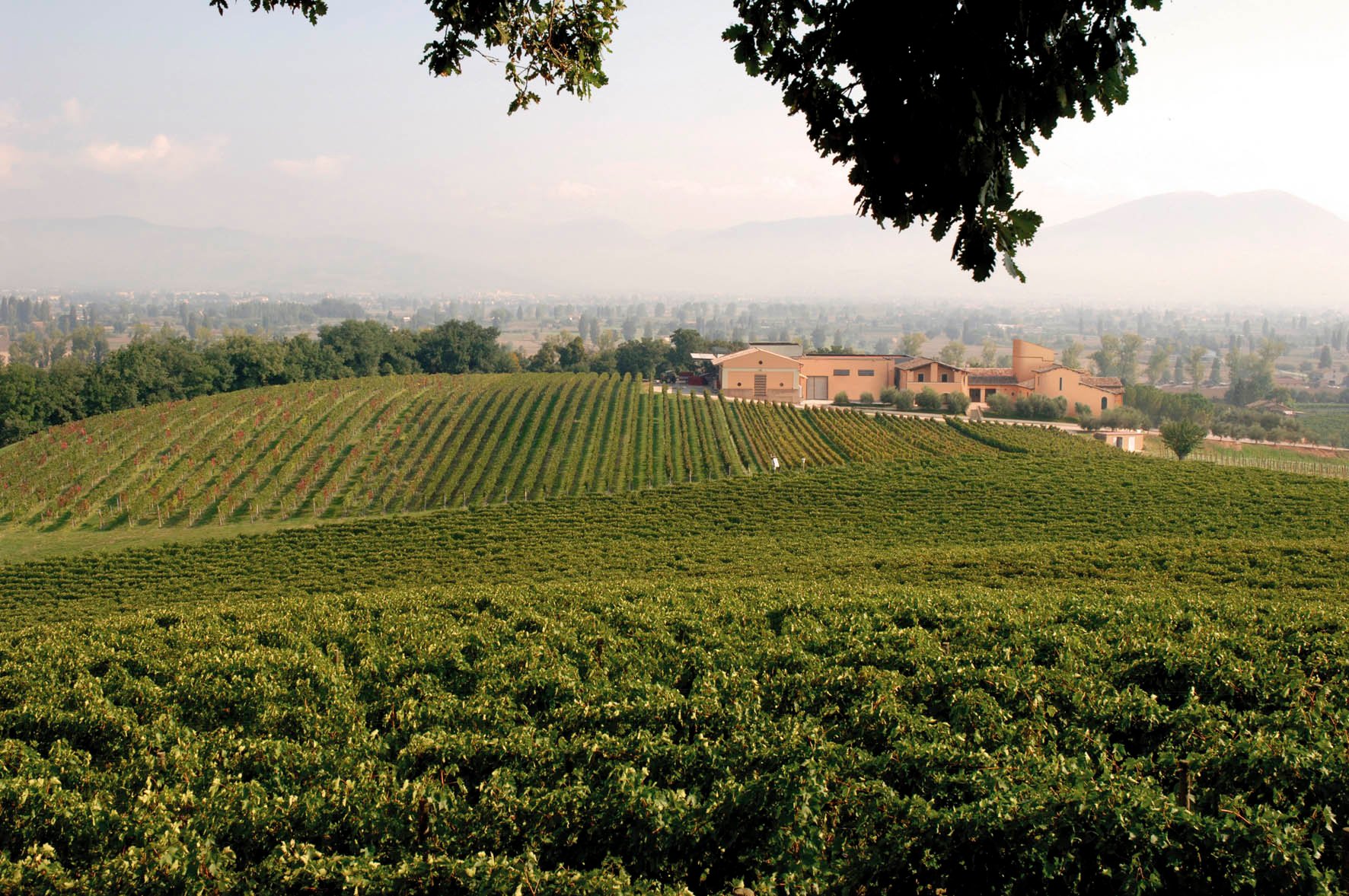 Montefalco, Italy 2023: Best Places To Visit - Tripadvisor