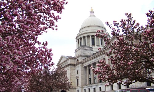 the Arkansas capitol and Japanese magnolia