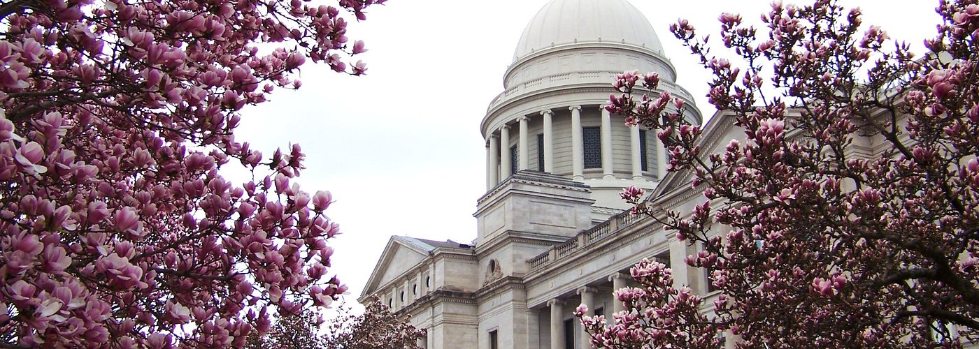 the Arkansas capitol and Japanese magnolia