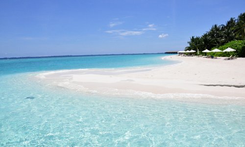 Incredible water