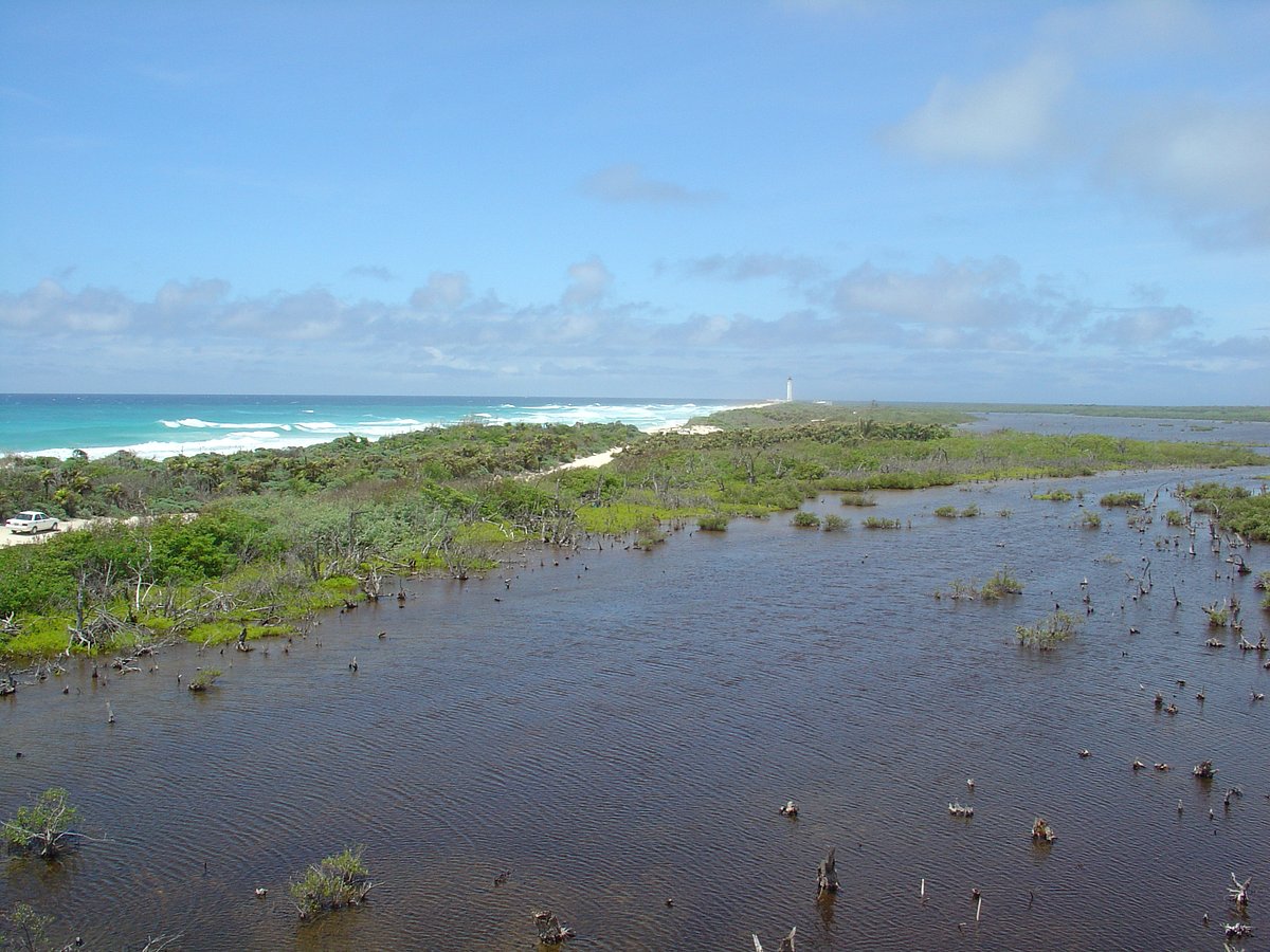 Laguna Colombia (Cozumel) - All You Need to Know BEFORE You Go