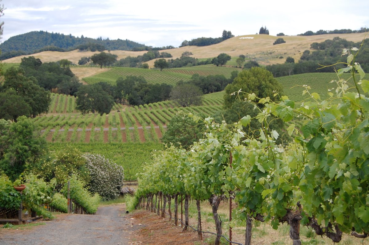 Wine Country Journeys LLC (Healdsburg) - All You Need to Know BEFORE You Go