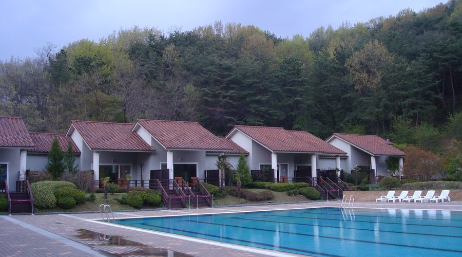 the swimming pool