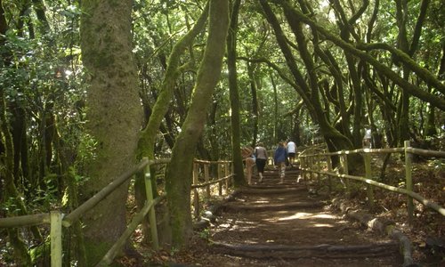 Parque Nacional de Garajonay