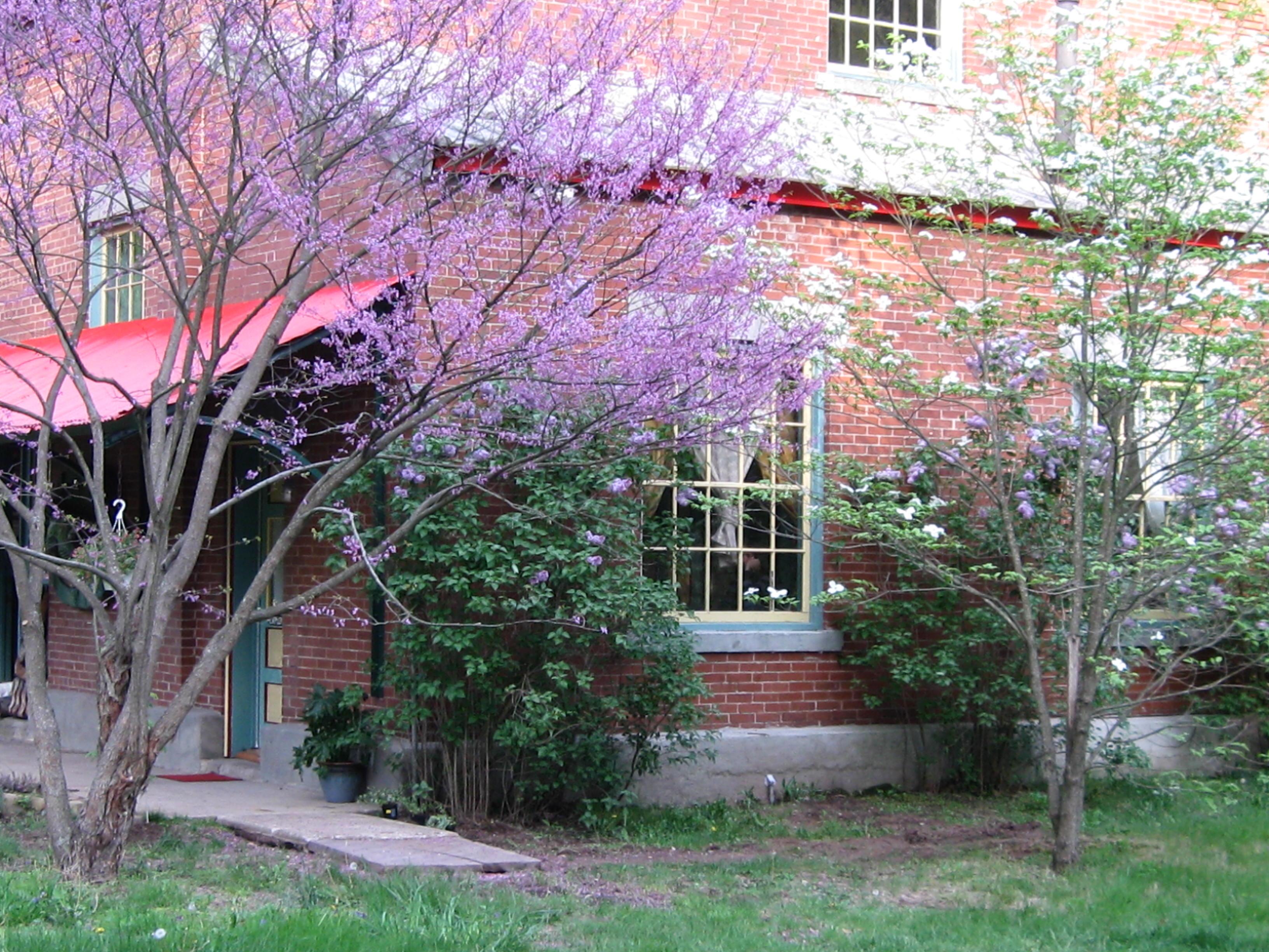 Hotel photo 8 of Pump House Bed and Breakfast.