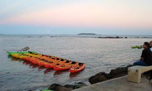 Yokahu kayaks ready to take us exploring with the dinoflagellates