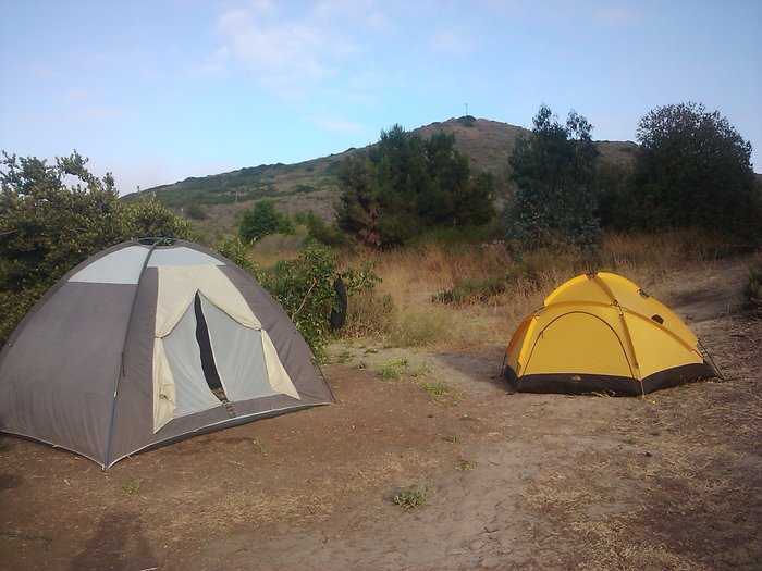 are dogs allowed at san mateo campground