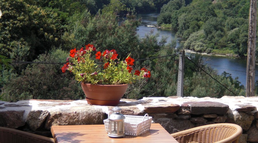 vistas del patio