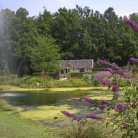 cottage garden