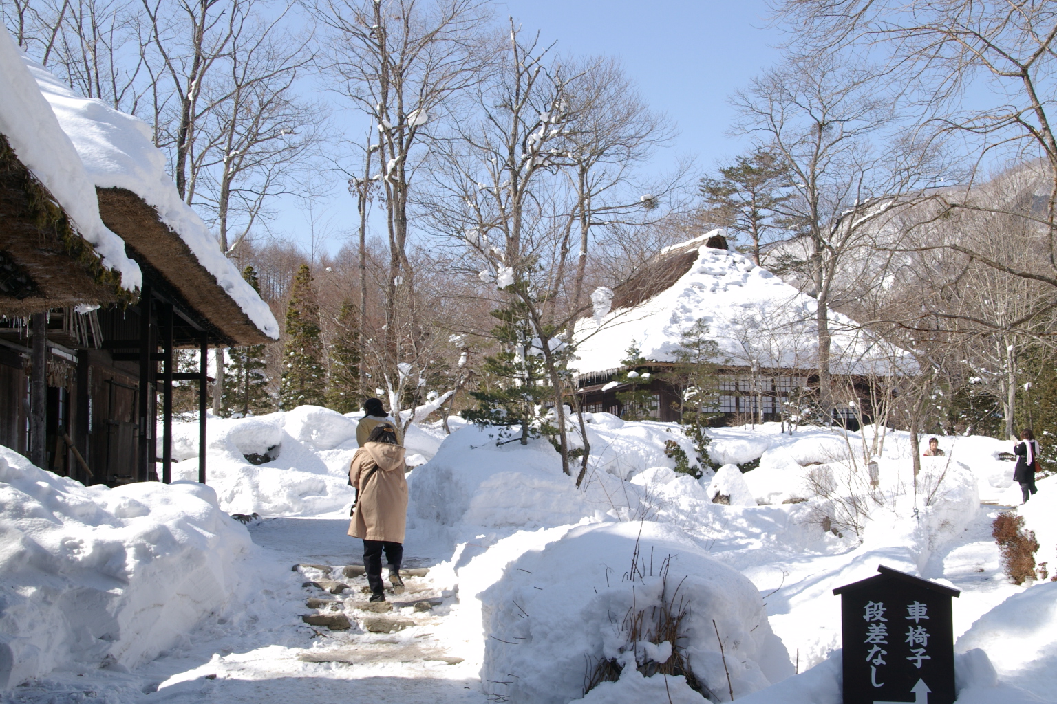 平家の里 安い ペット