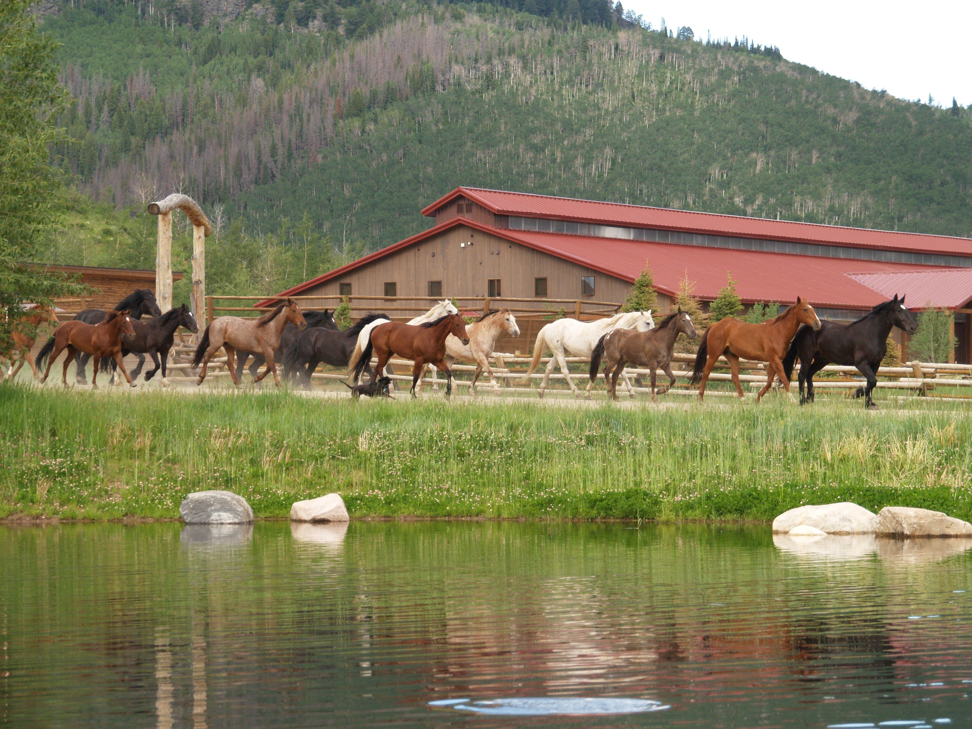 VISTA VERDE GUEST RANCH Updated 2022 Colorado Clark   Rush Hour 