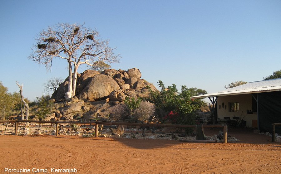 Porcupine Camp Kamanjab NamÍbia 12 Fotos E Avaliações Tripadvisor