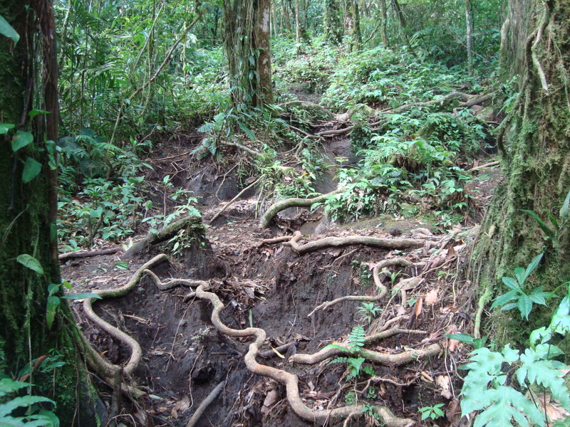 Cerro Chato Chato Volcano All You Need to Know BEFORE You Go