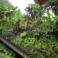 entrance to Papillote Tropical Gardens