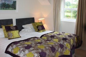 Room & Suite