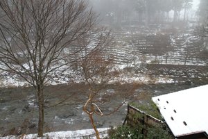客室 & スイート