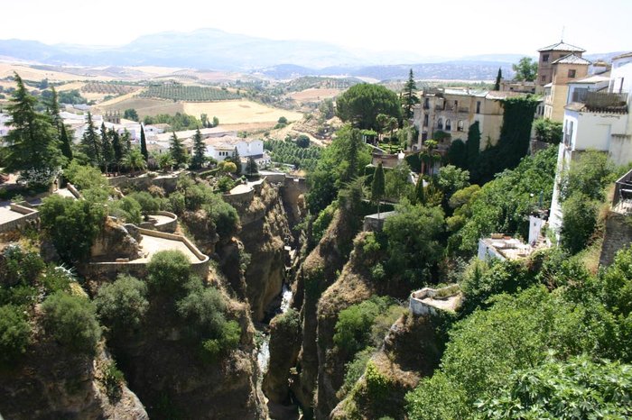 View of the gardens