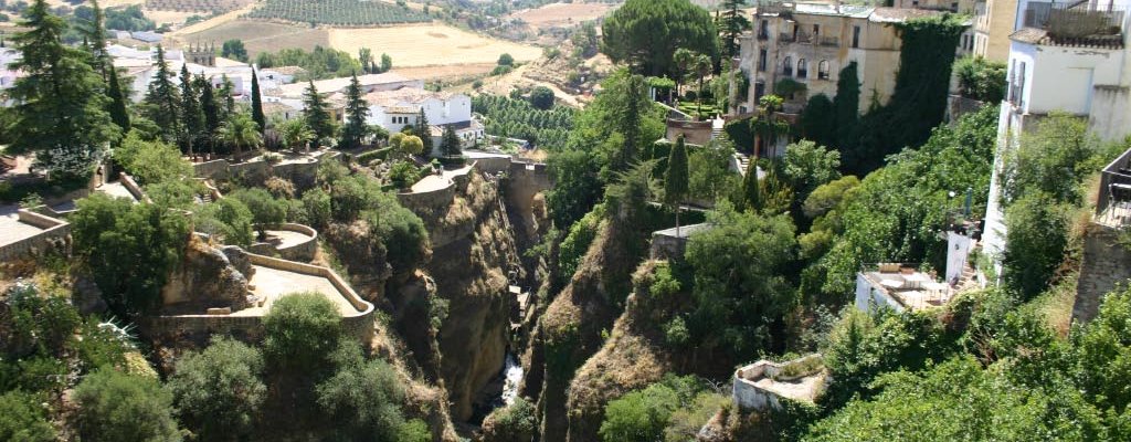 View of the gardens