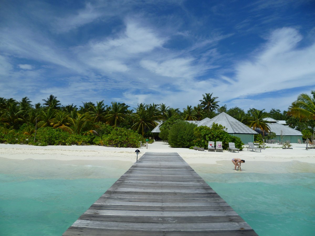 Fun island. Джой Исланд Мальдивы. Joy Island Maldives 5. Мальдивы остров Лохифуши. Joy Island 5*.