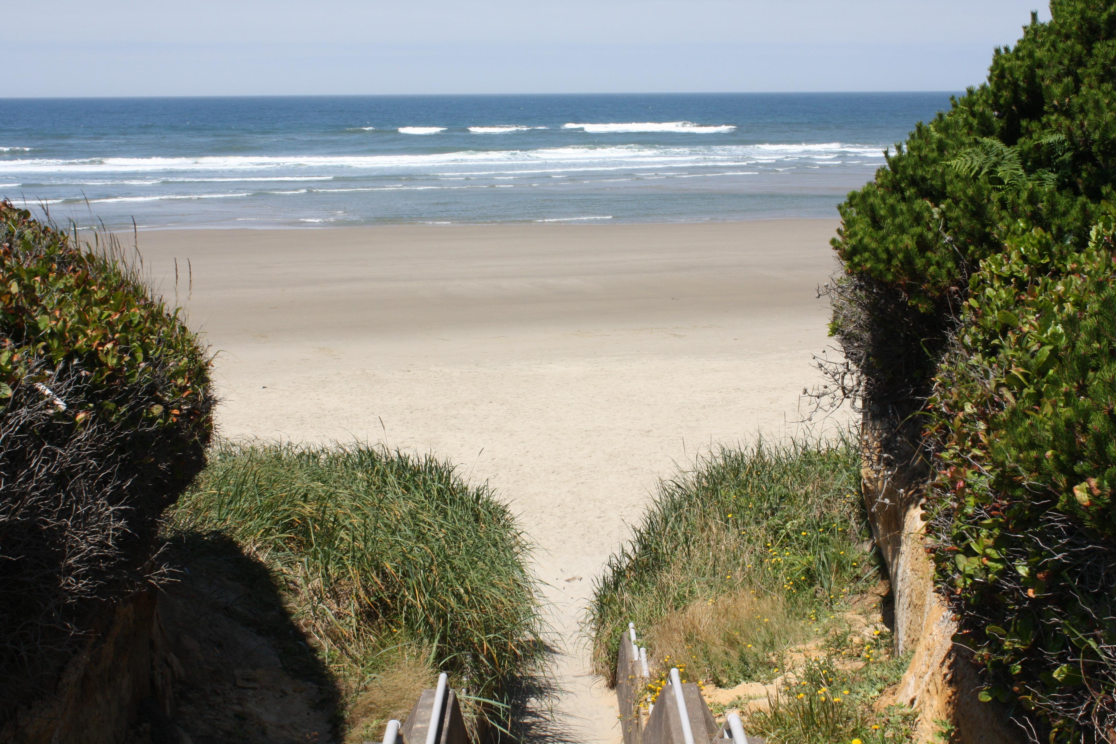 Exploring Tillicum Beach: The Hidden Gem of Island County Parks