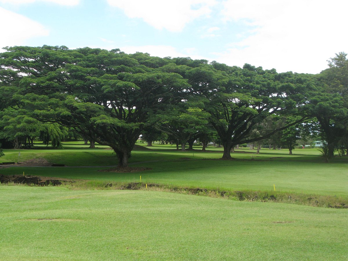 HILO MUNICIPAL GOLF COURSE Ce qu'il faut savoir