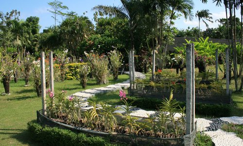 more flower beds