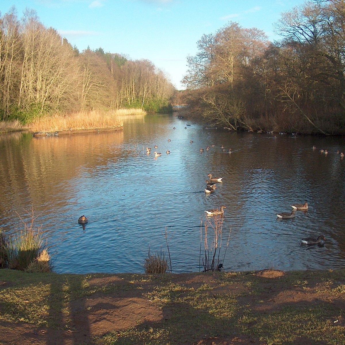 HADDO HOUSE & COUNTRY PARK (Ellon) - All You Need to Know BEFORE You Go
