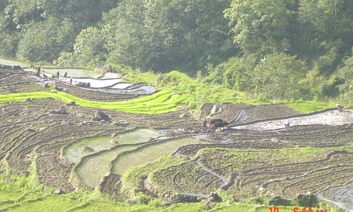 khilang village sikles Nepal Glacier Hotel Pokhara