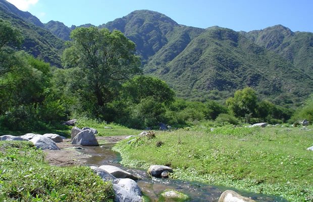 Vista del arroyo