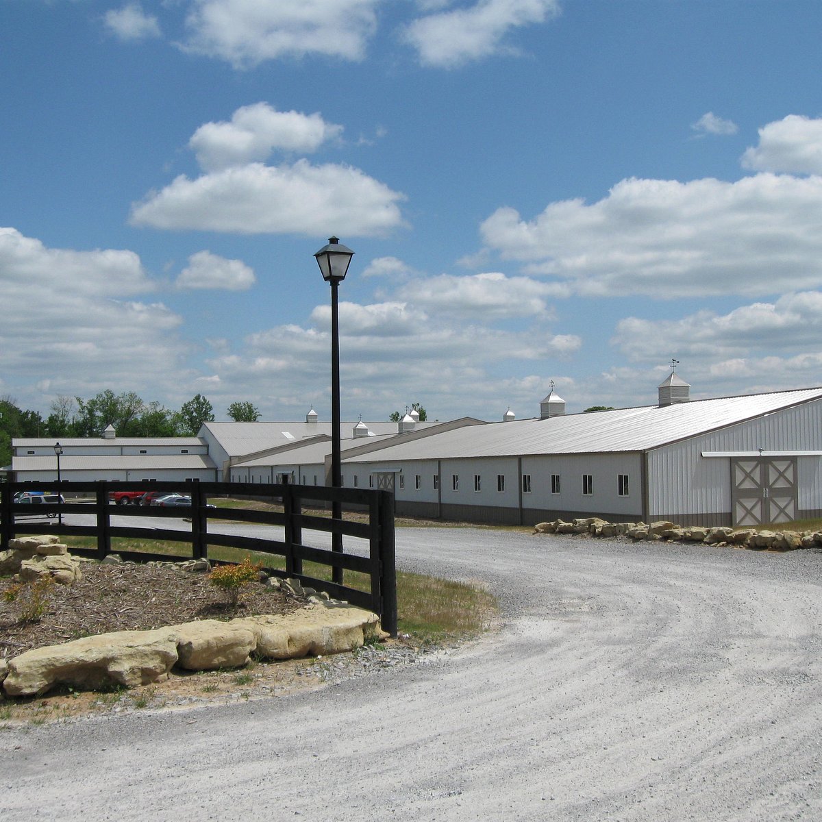 UofL Equine  Louisville KY