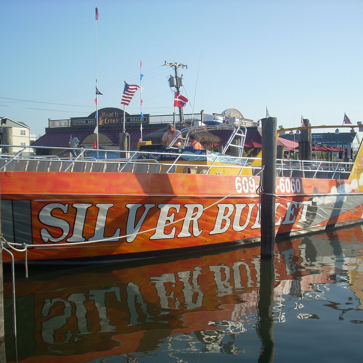 All 98+ Images silver bullet dolphin and sightseeing tours wildwood nj Superb