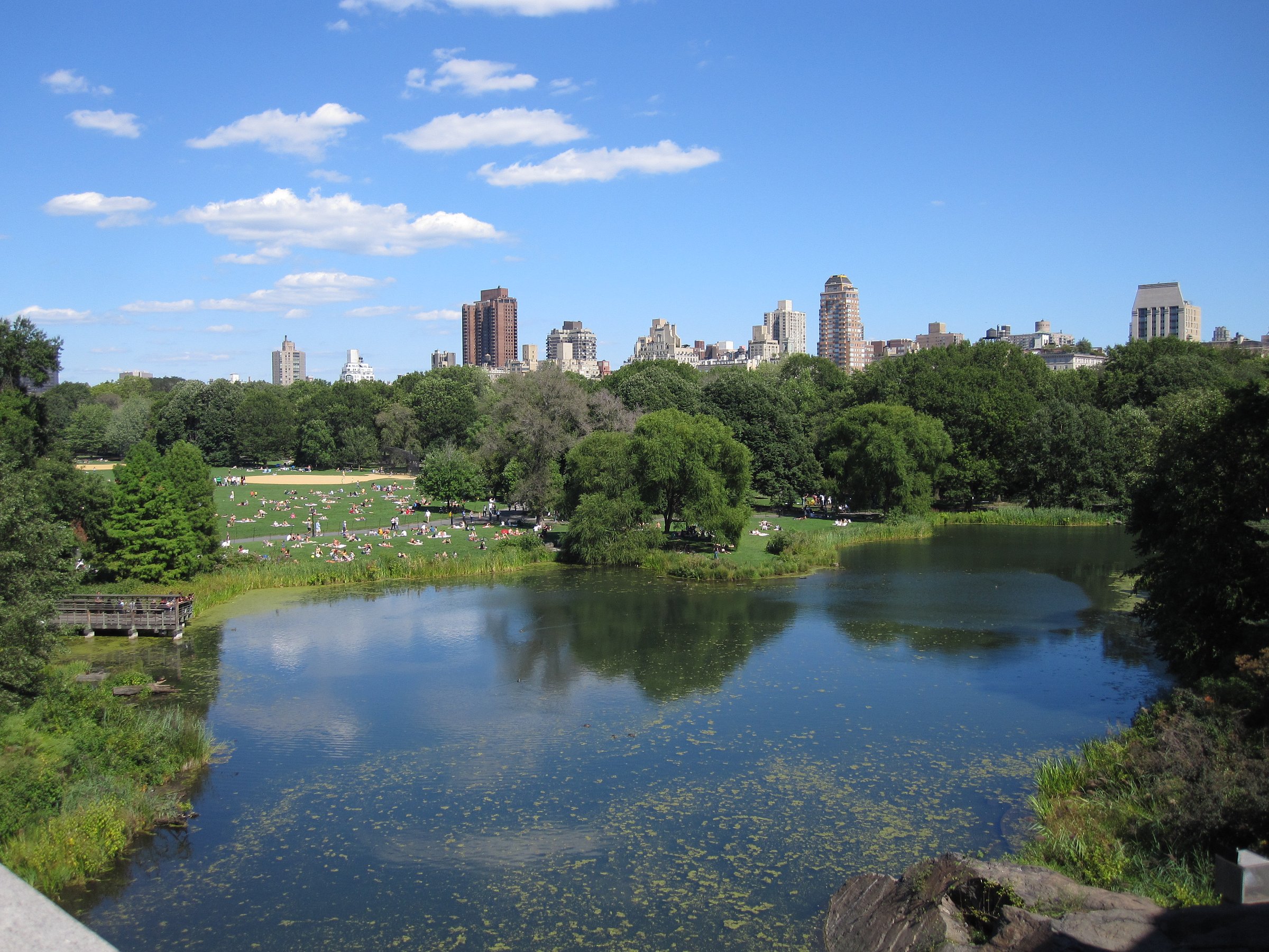 Central Park Tours (New York City) - All You Need to Know BEFORE You Go