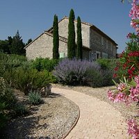 jardin