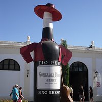 la silhouette della bottiglia Tio Pepe