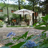 癒しの空間美術館