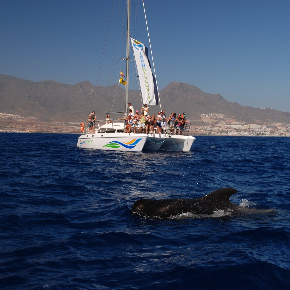 eden catamaran tenerife